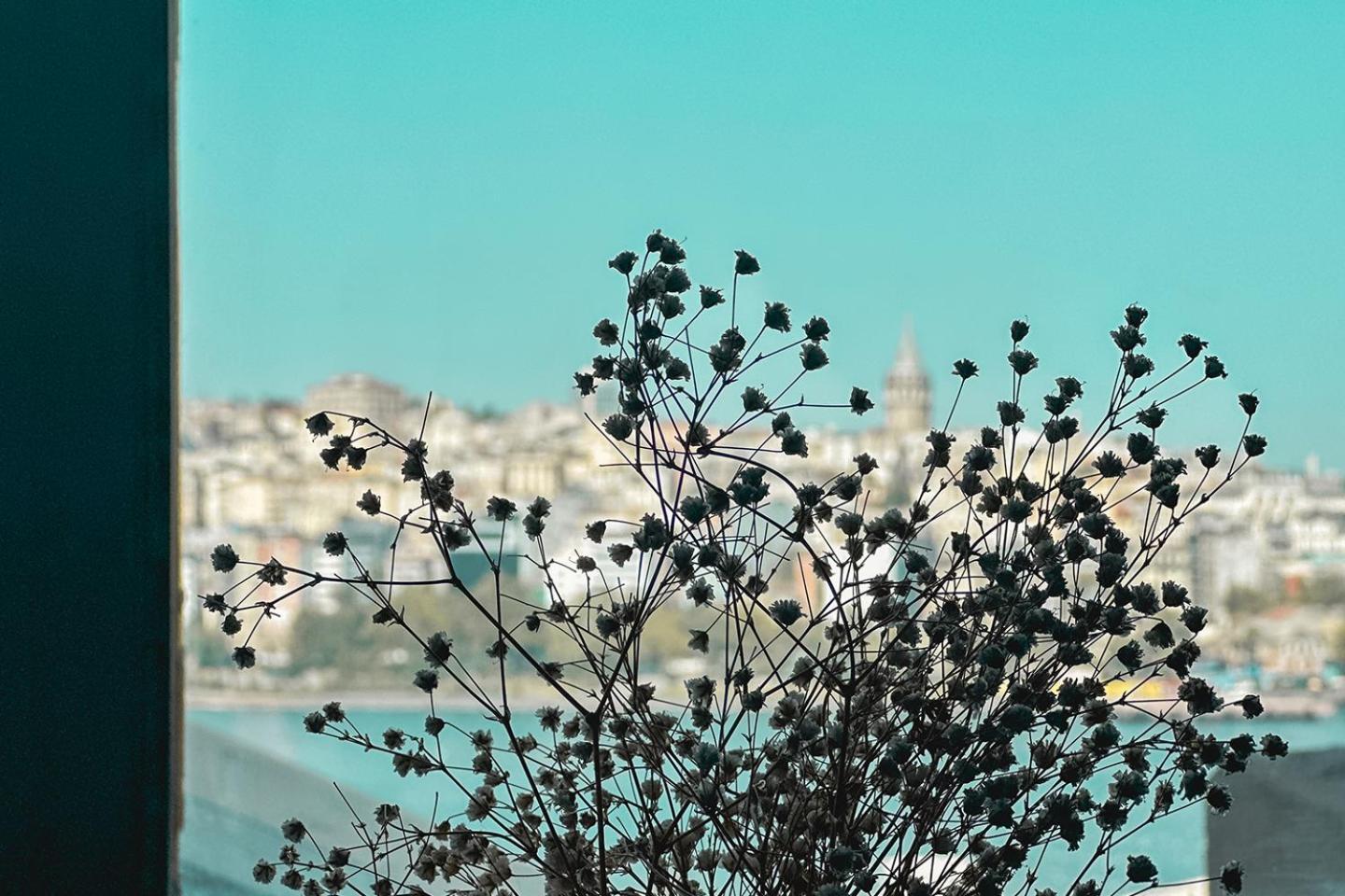 The Halic Bosphorus Hotel 이스탄불 외부 사진